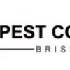 Pest Control Brisbane