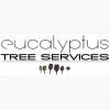 Eucalyptus Tree Services