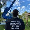 Expert Tree Removal