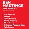 Ben Hastings Tree Service