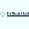 Professional Plaster & Paint Services