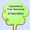 Caboolture Tree Removal