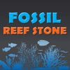 Fossil Reef Stone