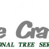 Tree Craft