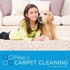 Peter's Carpet Cleaning