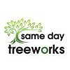 Same Day Tree Works