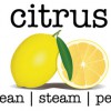 Citrus Clean Steam Pest