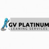 GV Platinum Cleaning