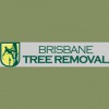 Brisbane Tree Removal