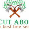 A Cut Above Your Best Tree Service