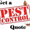 Sydney Pest Control Experts