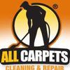 All Carpets Cleaning & Repair