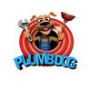 Plumbdog Perth