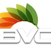 BVC Blinds Cleaning