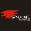 Syndicate Plumbing