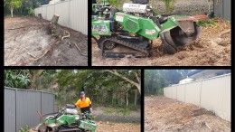 Before and After Stump Grinding 