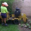 NQ Stump Grinding