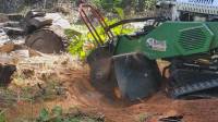 Large Stump Removal Gold Coast