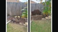 Tree Palm Stump Removal