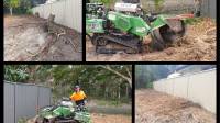 Stump Grinding Southport