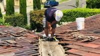 Roof Tile Restoration