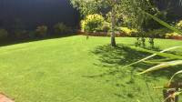 The Synthetic Grass Project